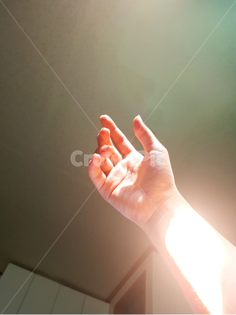 손,햇살,팔,아침,아침햇살,신체일부,몸,body