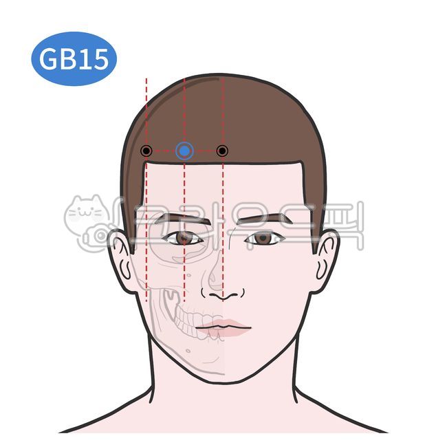 경락,경혈,혈자리,인체,한의학,일러스트,두임읍,의료,의학,병원,medical,hospital,clinic