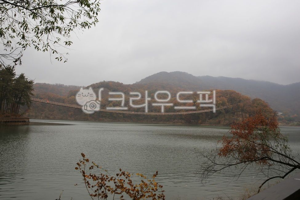 nature,tree,water,fall,Majang Lake,railing,suspension bridge,autumn leaves,reservoir,bridge,lake