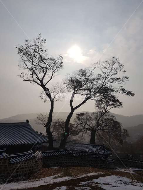 나무,남한산성,겨울,산자락,행궁