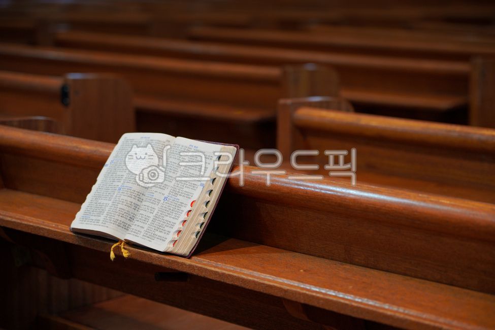 성경,교회,종교,찬양,기도,말슴,독서,신학,기독교,예배,신앙,책,부활절,목재,의자,교회의자,종교,신앙,religion,belief,faith