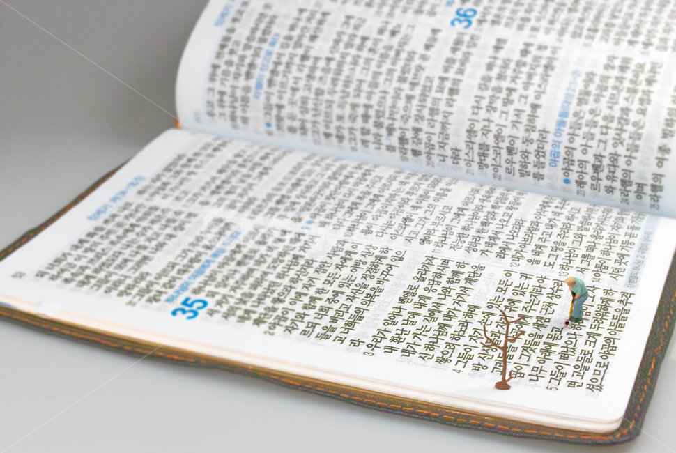 말씀,성경,창세기,야곱,묵상,개신교,기독교,성경말씀,야곱이야기,삽질,땅파기,hoiebible,jacob,genesis,성경이야기,벧엘,text,본문,book,책,page,페이지,종교,신앙,religion,belief,faith,연출,컨셉,콘셉,direction,concept