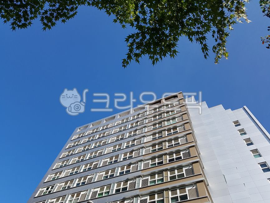 건물,빌딩,고층빌딩,도심,도시,building,도시경관,비지니스,비즈니스,건축,건축물,business,회사,사무실,오피스,풍경,city,landscape,건물외관,exterior,structure,architecture,construction,사업,service,work,finance,banking,officebuilding,urban,town,시티,high,고층건물,빌딩숲,파란하늘,현대적인,유리,하늘,푸른,파란,도시적인,기업,스카이라인,랜드마크,직장,백그라운드,부동산,금융,초고층,증권가,번화가,apartmentbuilding,아파트,주택