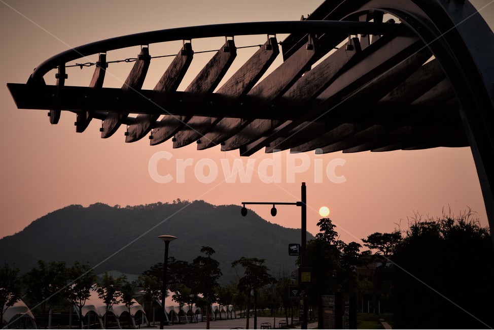 일출,공원,호수,가든,산