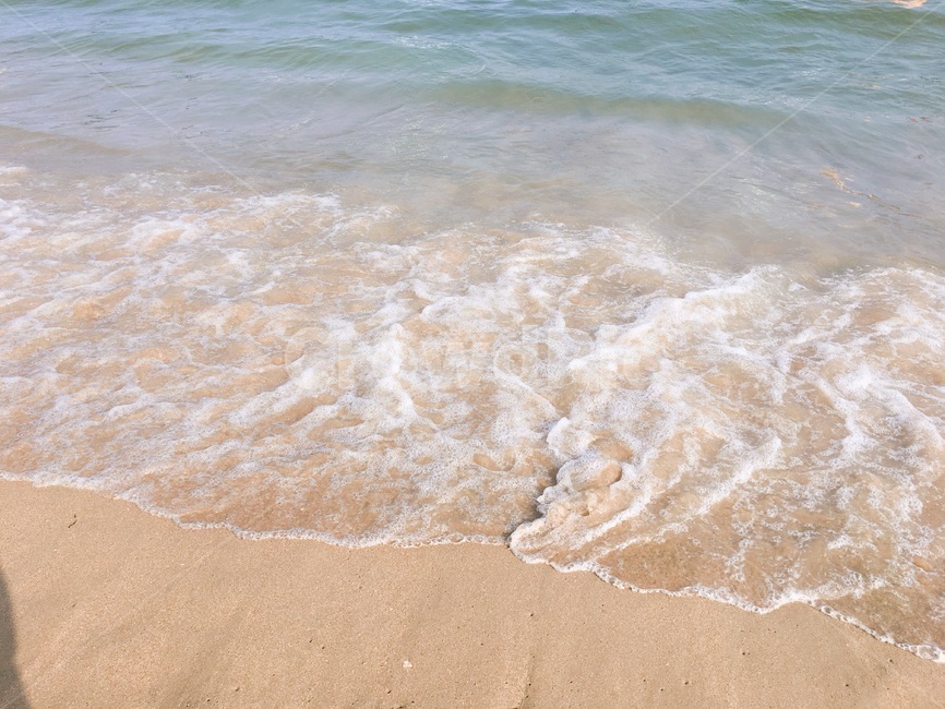부산,바다,바닷가,해변,부산바다,해변,바다,beach,sea