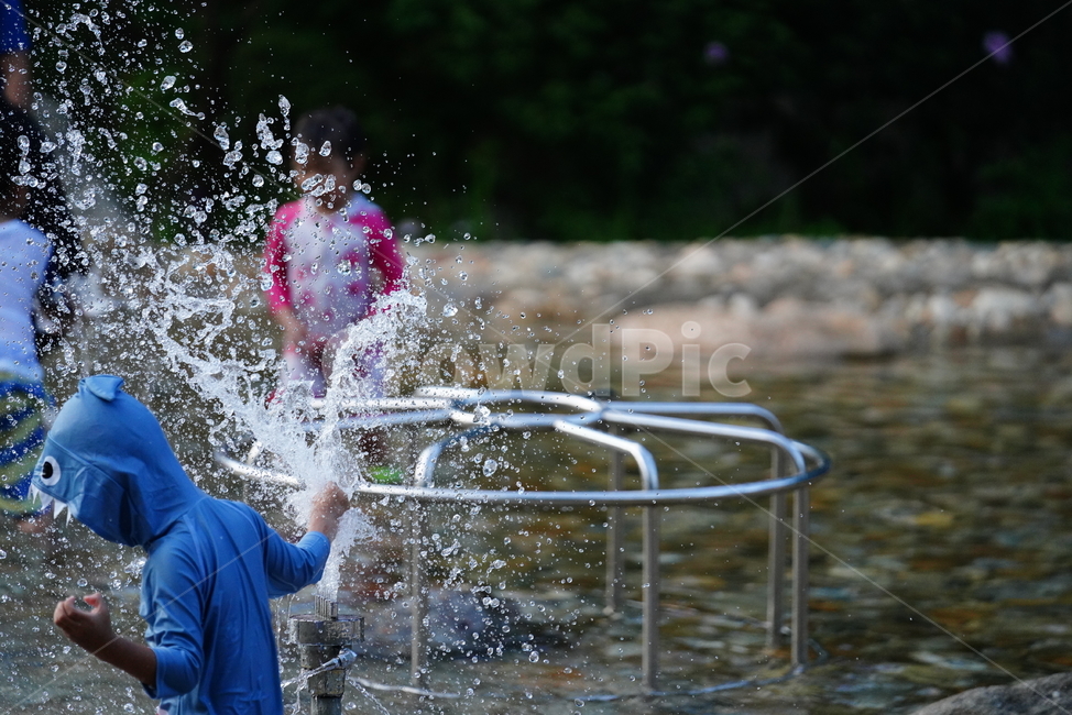 물,물줄기,물놀이,사람,피서,human,인간,person,water