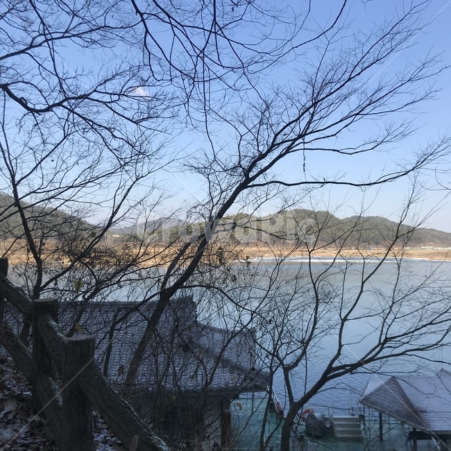 풍경,바다,절,사원,깨끗한,여유로운,맑은,강,나무,자연,풍경,nature,landscape,outdoors,옥외,building,건물,housing,주택