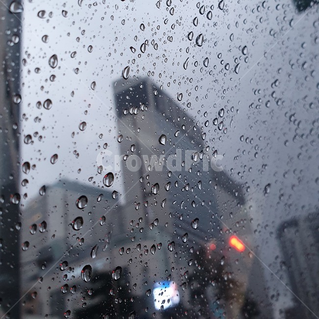 건물,유리창,비,도심,창문,날씨,장마