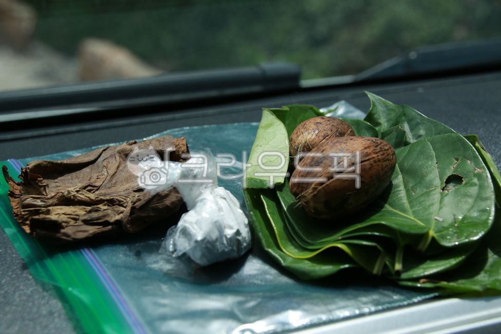 cigarette,chewing tobacco,plant,tobacco leaves