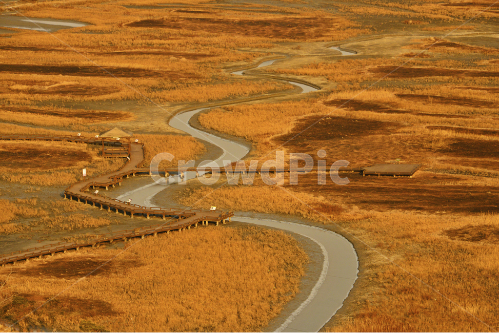 신안,증도,증도겨울,증도물길,태평염전,태평염전물길,정자,road,도로,scenery,풍경,nature,자연,outdoors,옥외,landscape,경치,자연,풍경,nature,landscape,한국자연풍경,한국자연경관,korea nature landscape