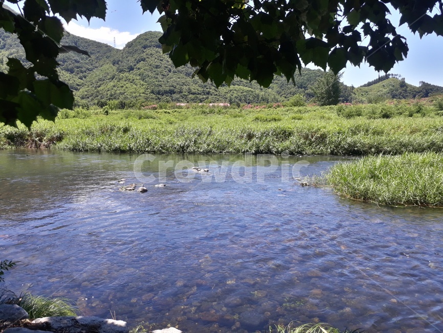 전북,전주,계곡,여름휴가,맑은물,자연,풍경,nature,landscape,water,물,outdoors,옥외