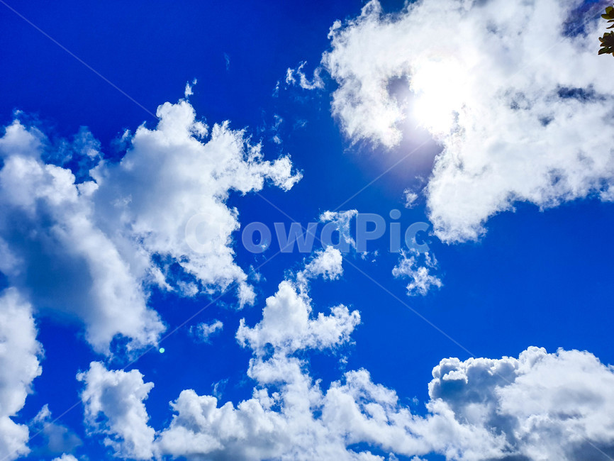 하늘,파란하늘,흰구름,맑음,햇빛,푸른하늘,자연,파란색,azuresky,sky,bluesky,whiteclouds,nature,자연,풍경,nature,landscape,azure sky,푸른 하늘,outdoors,옥외