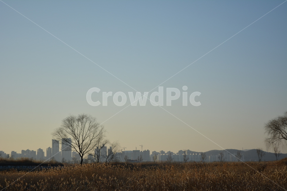 nature,자연,겨울,건물,나무