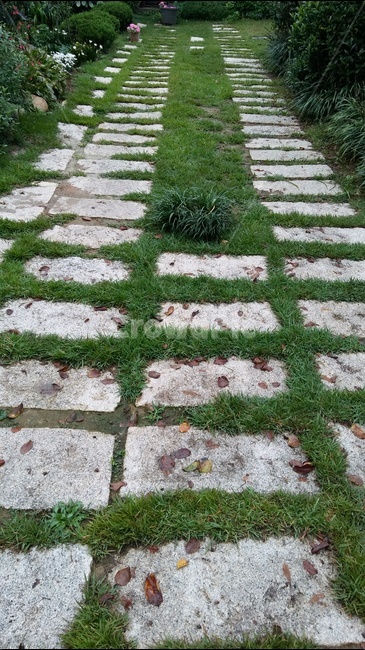 돌,숲,야외,돌건너기,나무,풀,자연,풍경,nature,landscape,flagstone,판석,path,통로,walkway,보도,slate,슬레이트