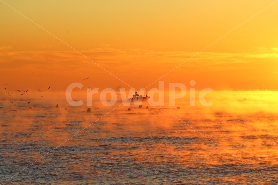 sea fog,water fog,morning sea,East Sea sunrise,Beach,nature,homecoming,sight,fishing boat,Seagull,fisherman