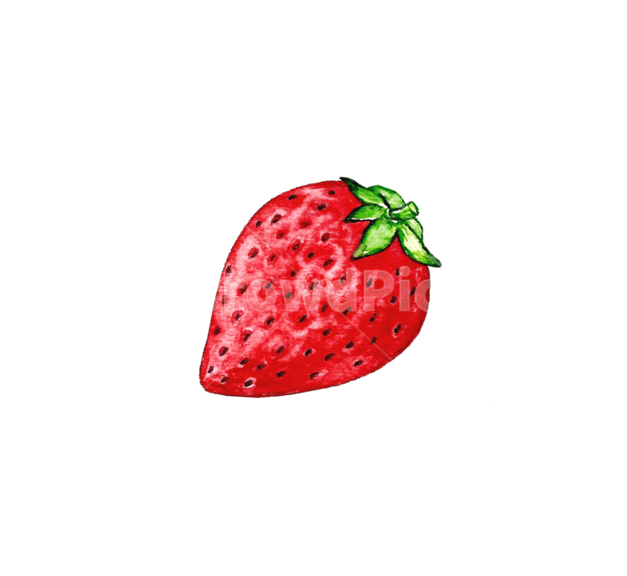 food,음식,plant,식물,strawberry,딸기,fruit,과일,수채화,그림,그래픽,일러스트레이션,graphic,illustration