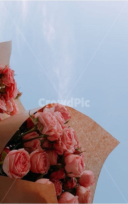 미니장미,감성,꽃다발,파스텔톤,하늘,꽃,flower,기념일,축하,anniversary,congratulation,celebrate,celebration