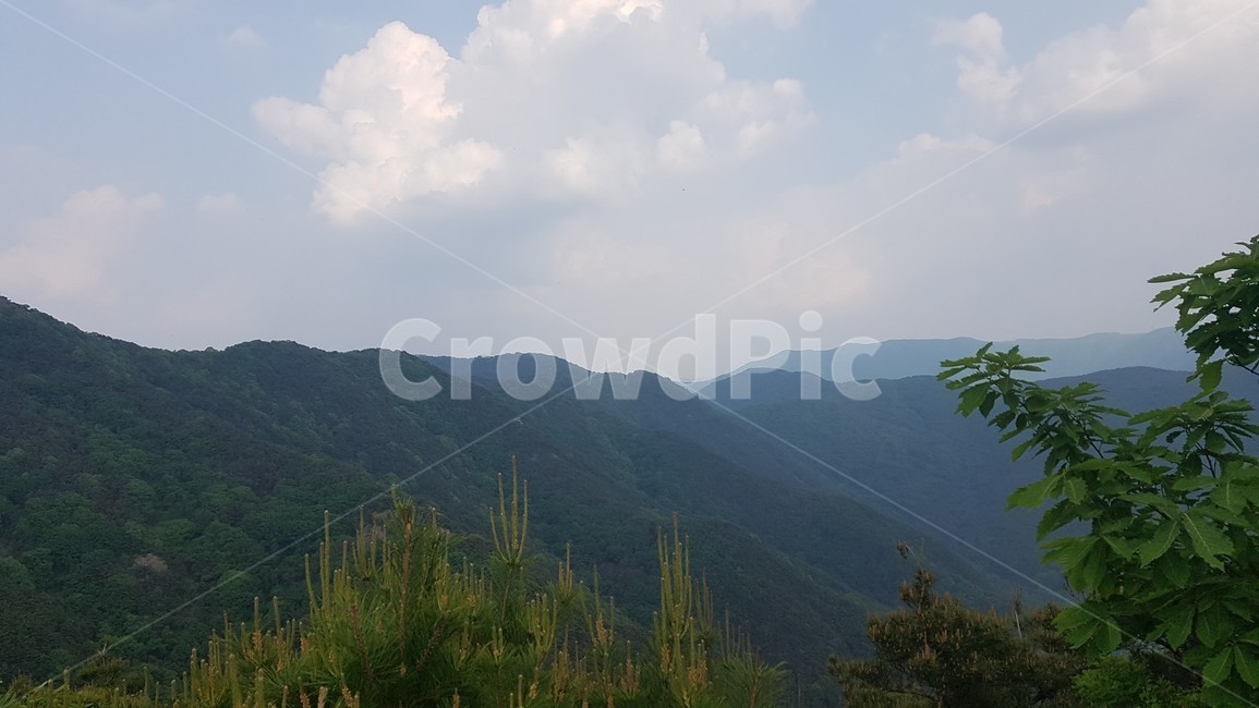 대구,앞산,대덕산,등산,풍경,산,전망,하늘,자연,풍경,nature,landscape,plant,식물,tree,나무,fir,전나무,outdoors,옥외