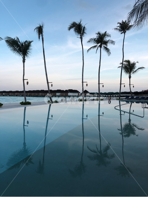 몰디브,maldives,휴양지,섬,island,수영장,pool,튜브,나무,tree,swimming,수영,sky,자연,nature,outdoors,옥외,여행,휴가,traveling,vacation,trip,신혼여행,허니문,honeymoon,식물,treetrunk,plant,beach,coast,sea,ocean,바다,바닷가,tropical,트로피칼,summer,여름,여유,rest,반영,reflection,reflect,blue,컬러풀,colorful,리조트,resort,트로피컬