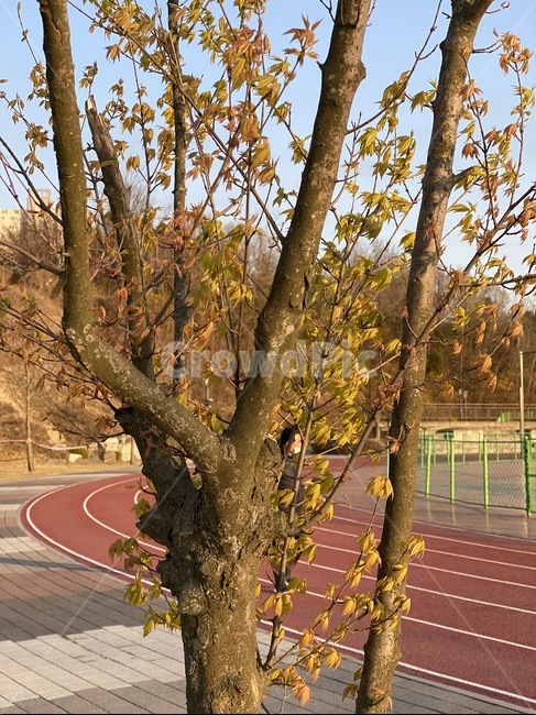 공원,트랙,경주,nature,tree,나무,plant,식물