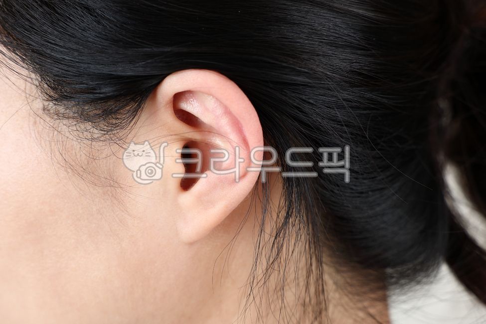 귀,부분,귓구멍,옆면,측면,확대,클로즈업,집중,주의,매크로,청력,지각,청력상실,케어,관리,얼굴,나선,여자,여성,신체,의료,뷰티,동양인,사람,부드러운,피부,이명,난청,귓볼,귓바퀴,청각,듣는,듣다,감각,감각기관,신체부위,옆모습,연골,미용,이목구비,소프트,인물