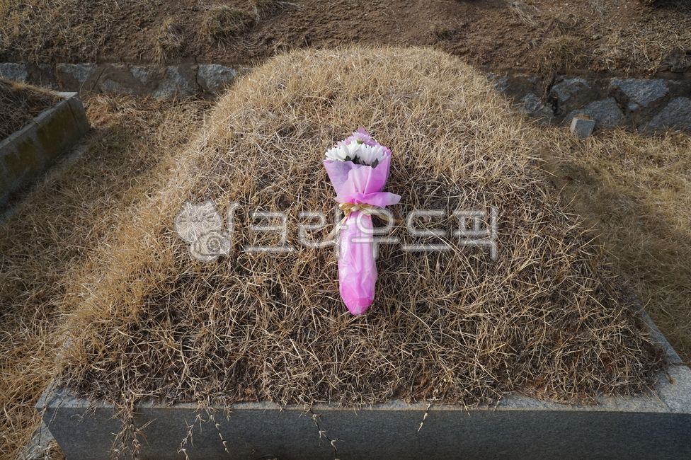 꽃,헌화,꽃다발,flower,꽃잎,산소,봉분