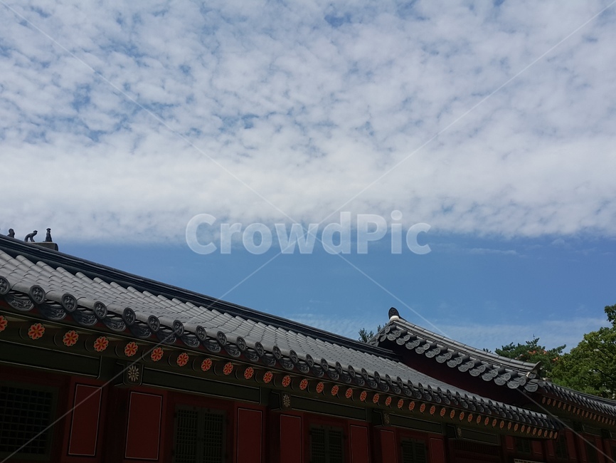 기와집,하늘,한국적,한국,구름