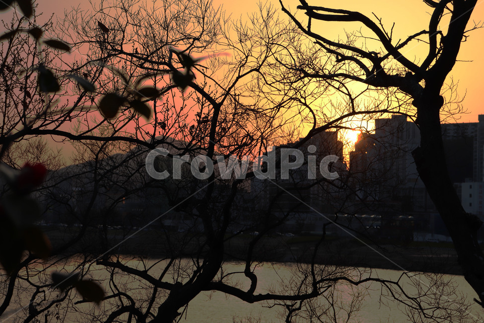 노을,일몰,석양,해질녘,sunset,황혼,하늘,도시,풍경,city,landscape