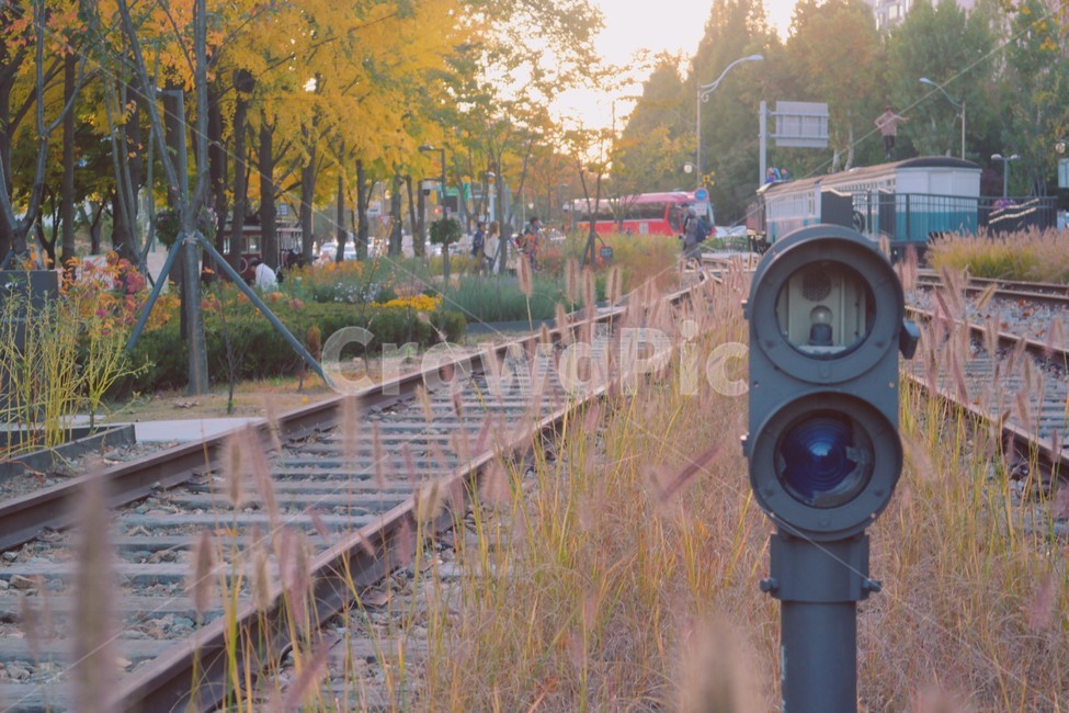 철로,기찻길,가을,가을풍경,폐역,감성,햇볕,교통,교통수단,traffic,transportation