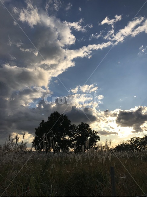 구름,맑은하늘,편안한,sky,여유로움,산책