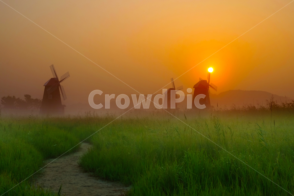 새벽,일출,안개,풍차,풍경,자연,식물,녹색,자연,풍경,nature,landscape,한국자연풍경,한국자연경관,korea nature landscape,outdoors,옥외