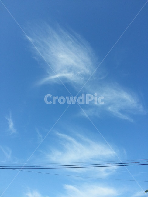 구름,하늘,파란하늘,특이한구름,뭉게구름,cloud,sky,special,bluesky,파란,하얀,날림구름