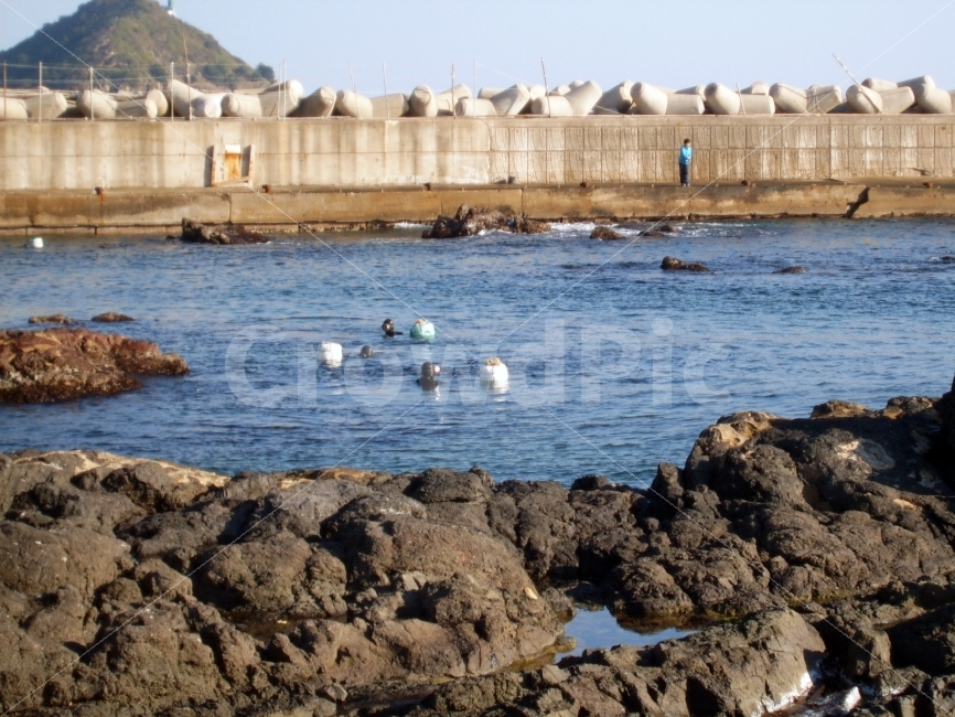 해녀,Sea,바다,Beach,물질,한국전통,한국문화,korean traditional,korean culture
