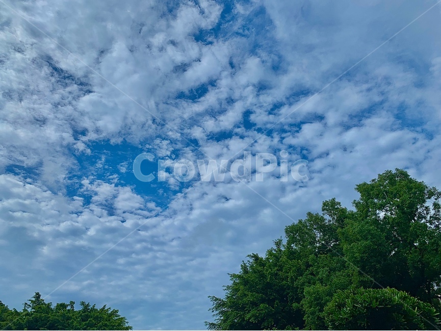 자연,옥외,날씨,구름,하늘,nature,outdoors,weather,cloud,sky