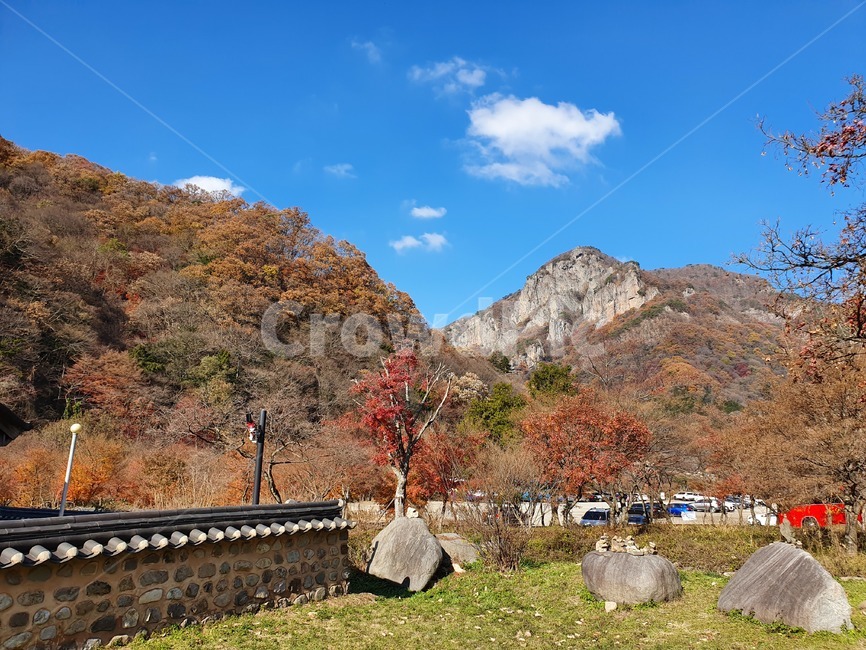 가을,가을하늘,담장,단풍,자연,가을,계절,fall,autumn,season
