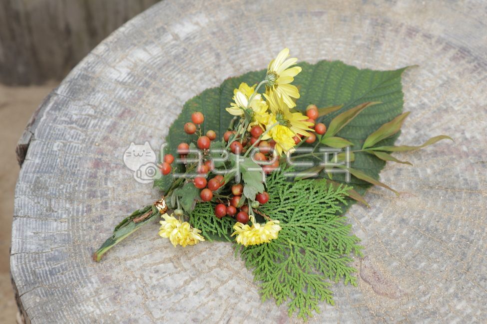 숲체험,꽃부케,꽃다발만들기,forest,flower,식물