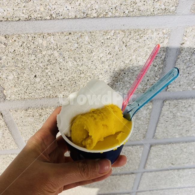 아이스크림,망고,레몬,푸드,food,디저트,디저트,간식,후식,dessert,snack