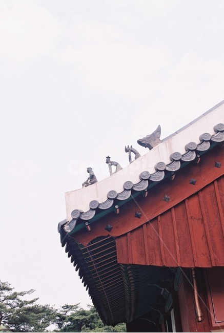 지붕,기와지붕,나무집,수호신,옛집,한국전통,한국문화,korean traditional,korean culture,건축물,건물외관,exterior,building,structure,architecture,construction