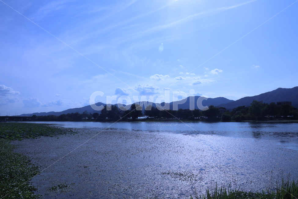 푸른,하늘,구름,연못,bluesky