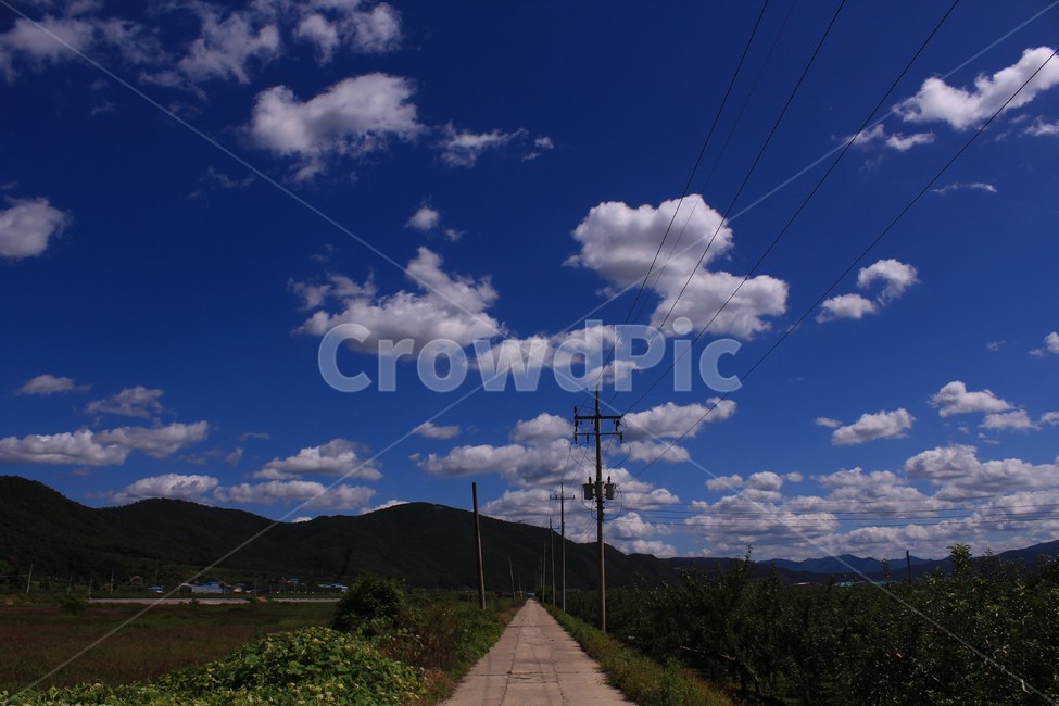 시골길,파란하늘,하얀구름,뭉게구름,고향하늘,감성사진,전봇대,자연,풍경,nature,landscape,outdoors,옥외,weather,날씨