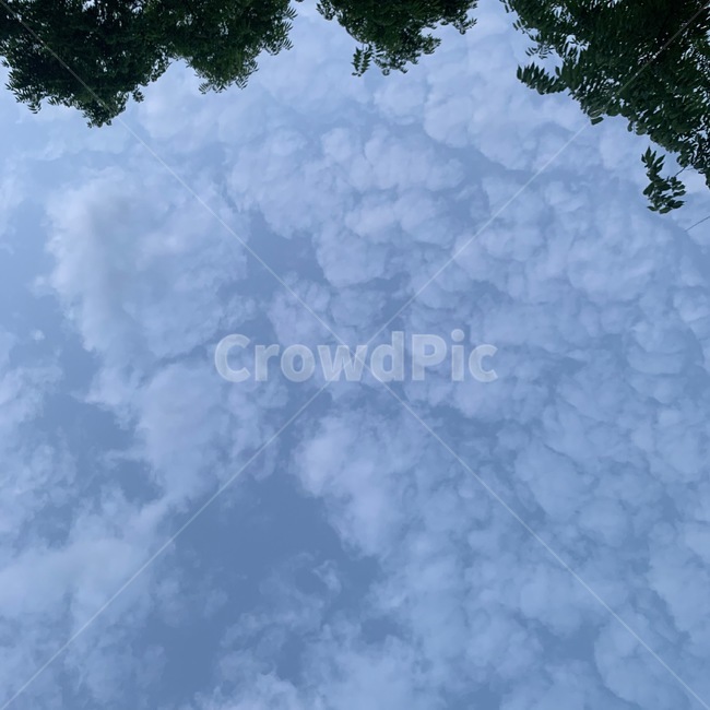 자연,nature,날씨,구름,cloud