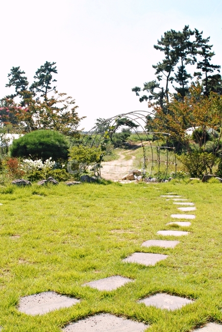 정원,화단,나무,하늘,잔디,디딤돌,자연,풍경,nature,landscape,plant,식물,grass,outdoors,옥외