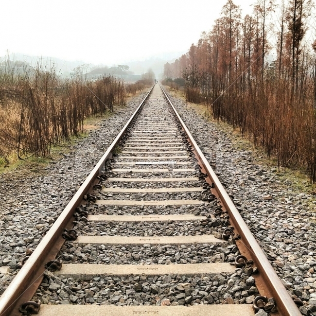 철길,기차,여행,가을,기차길,가을,계절,fall,autumn,season,교통,교통수단,traffic,transportation,rail,레일,train track,기찻길,railway,철도,staircase,계단,road,도로,gravel,자갈,dirt road,흙길