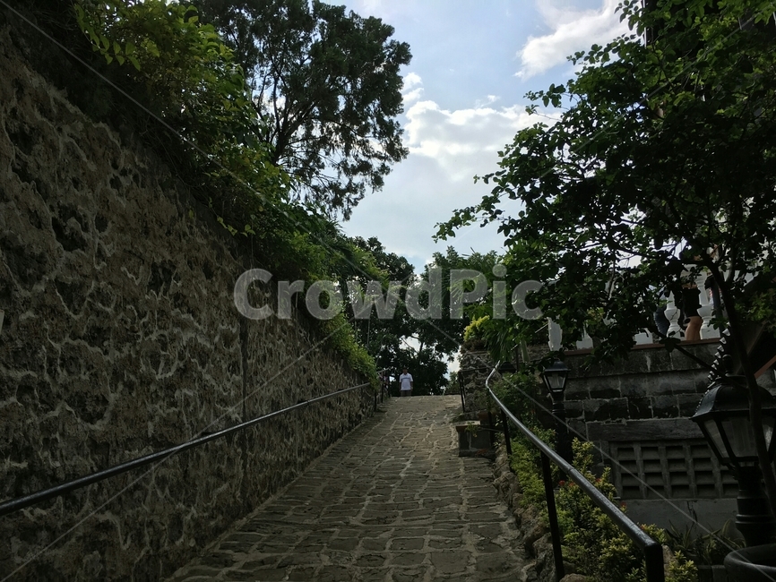 길,숲길,산책로,풍경,숲산책로,자연,풍경,nature,landscape,path,통로,walkway,보도,flagstone,판석,sidewalk,pavement,포장