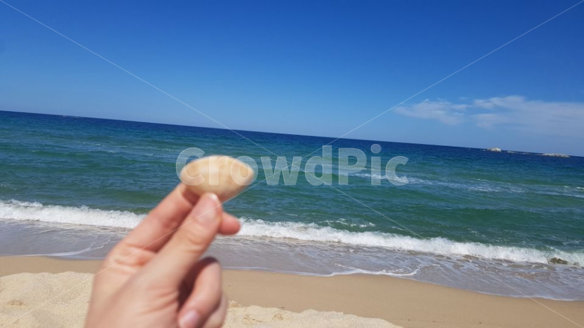 바다,해변,해수욕장,조개,모래사장,해변,바다,beach,sea,사람,인물,인간,human,person,신체일부,몸,body