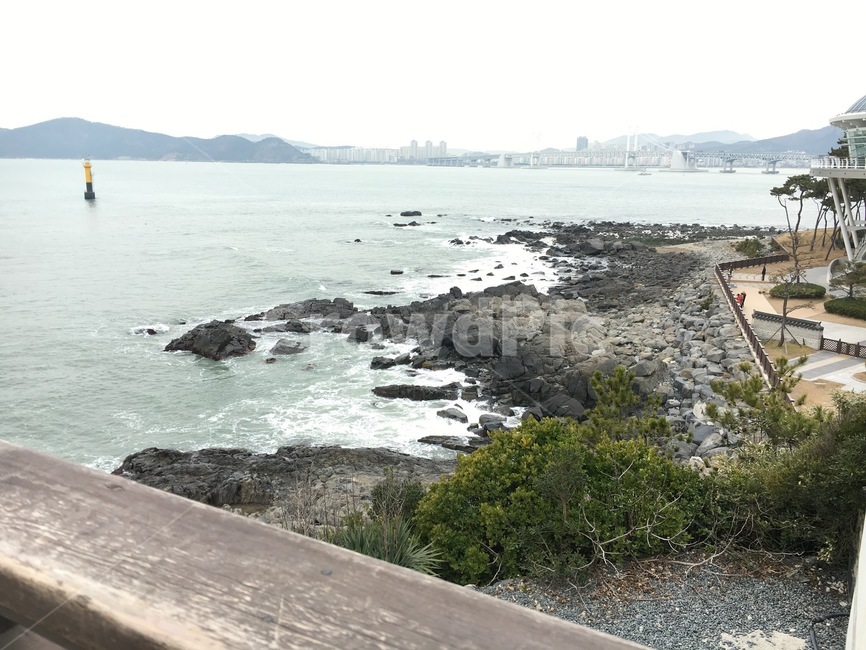 ocean,바닷가,해안가,방파제,바다,자연,풍경,nature,landscape,한국자연풍경,한국자연경관,korea nature landscape,shoreline,해안선,water,물
