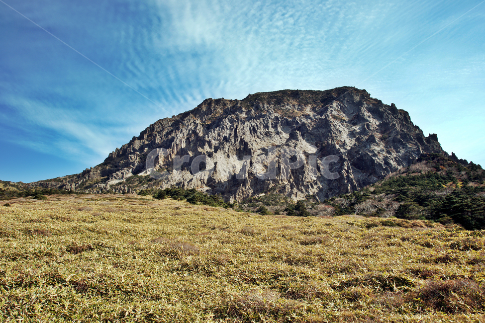 남벽,조릿대,한라산,한라산국립공원,제주도,돈내코코스,암벽,제주도,jeju,jeju island,nature,자연,outdoors,옥외,plateau,고원