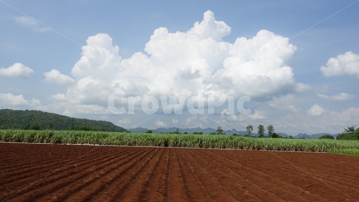 시골,땅,자연,옥외,풍경,들판,field,들