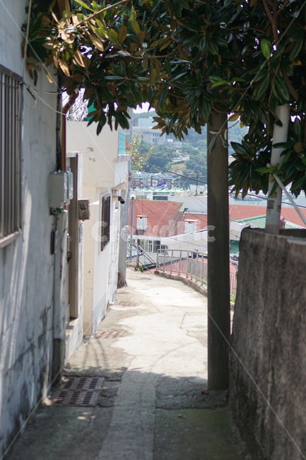 골목,동피랑,나무,통영,벽,골목길,alley,flagstone,판석