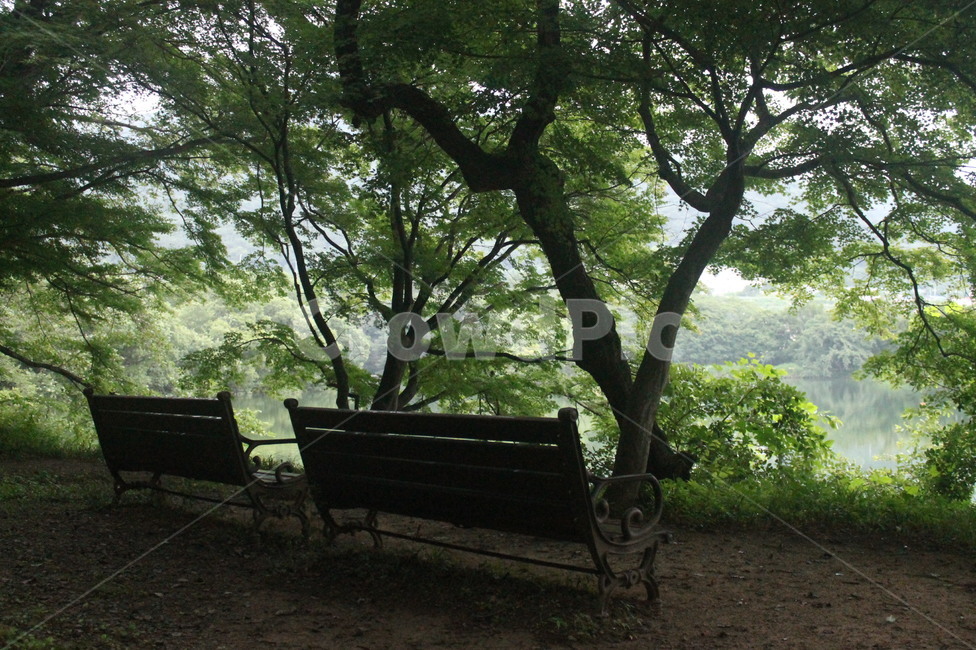 여행,출사,여유,풍경,전경,푸른,하늘,숲속,벤치,의자,건물,도심,도심풍경,자연,풍경,nature,landscape,bench
